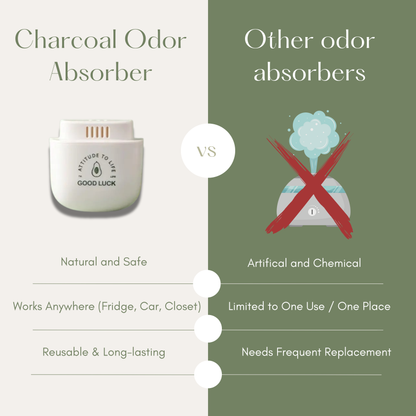 Activated Charcoal Refrigerator Deodorant (1 Piece)