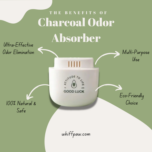 Activated Charcoal Refrigerator Deodorant (1 Piece)